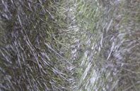 Godley Hill fibreglass roof work